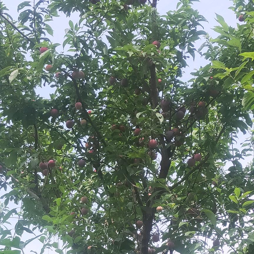 随遇而安