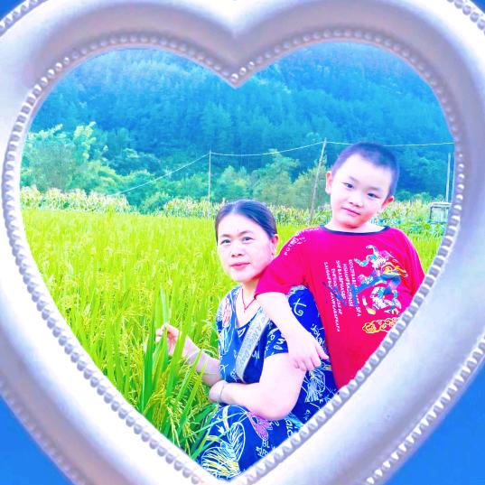 陀螺莠yǒu草