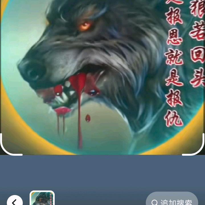 滨海孤狼