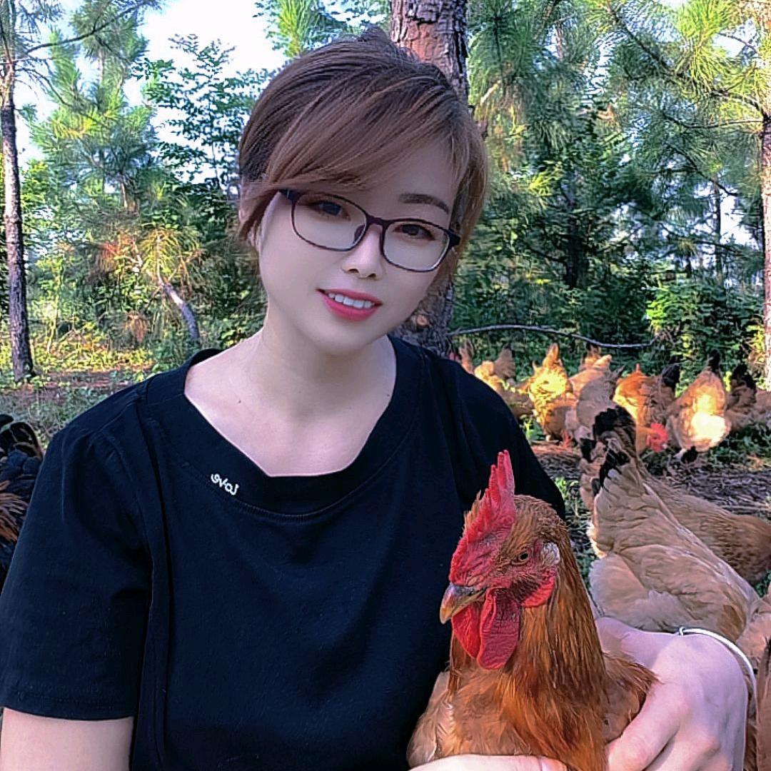 丫头家的虫草鸡