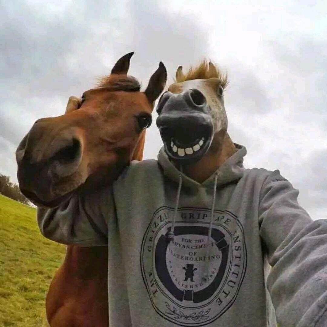 一米大的八个