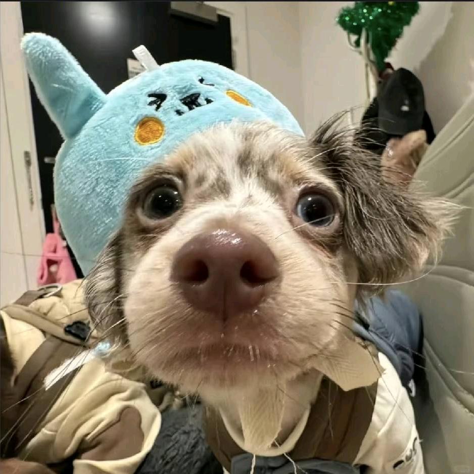 XIiiii_