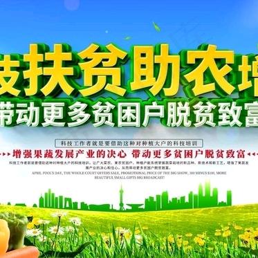 春公子青青悠果树苗木专卖店