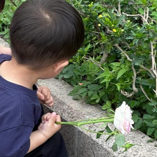 小一仔仔