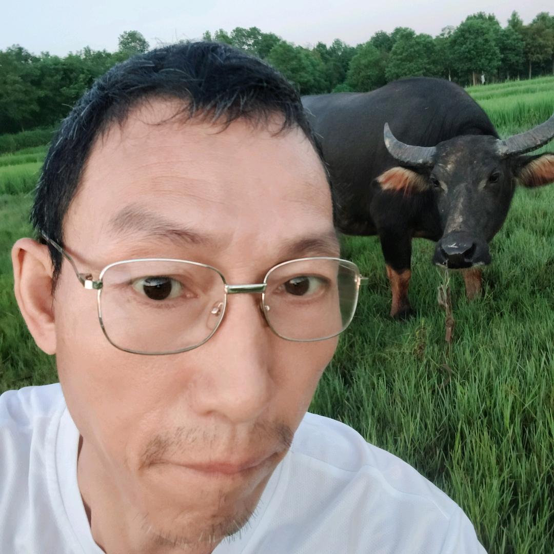 学而行