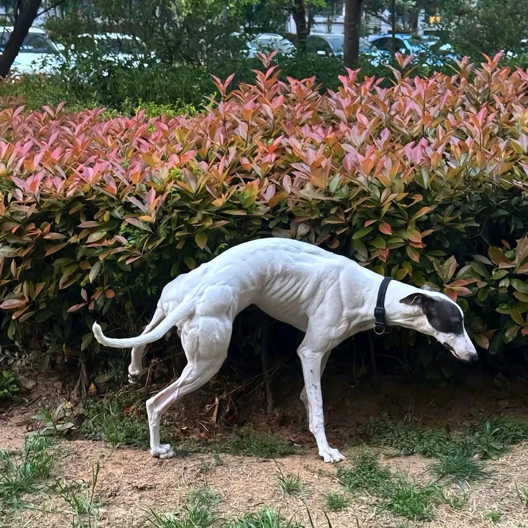 光辉→_→