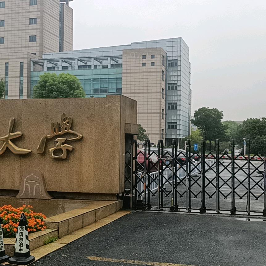 自由达人