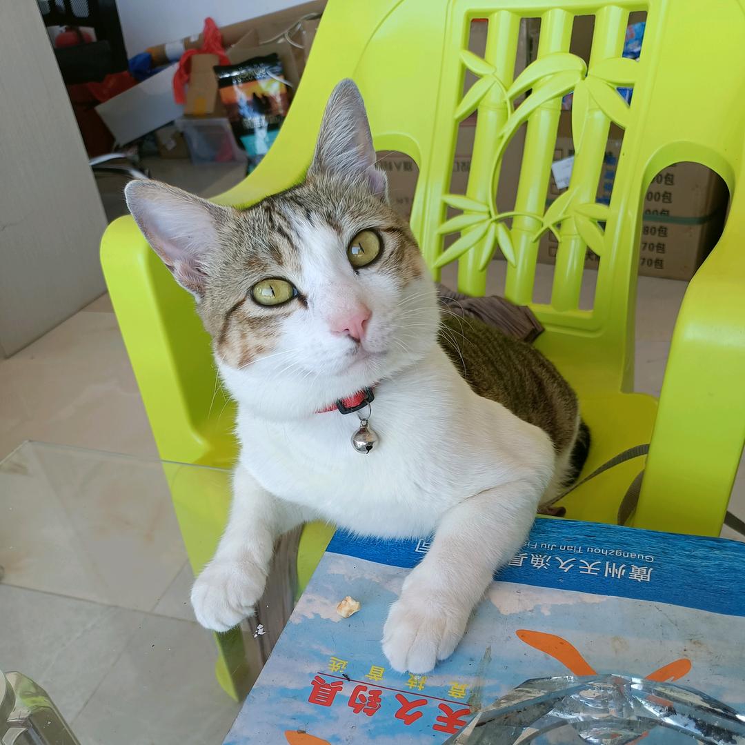 翠美园渔具，小徐