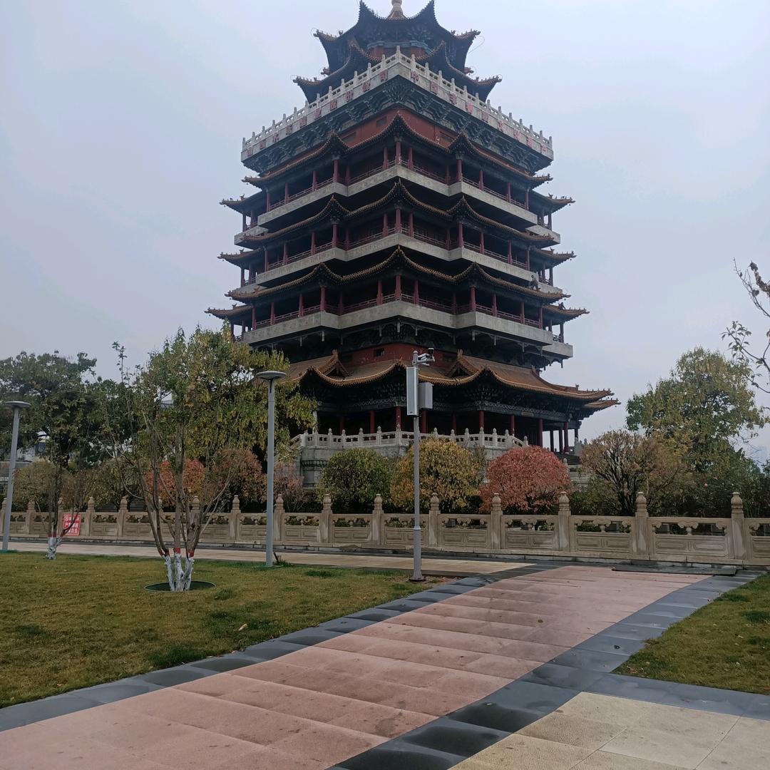 游子天涯