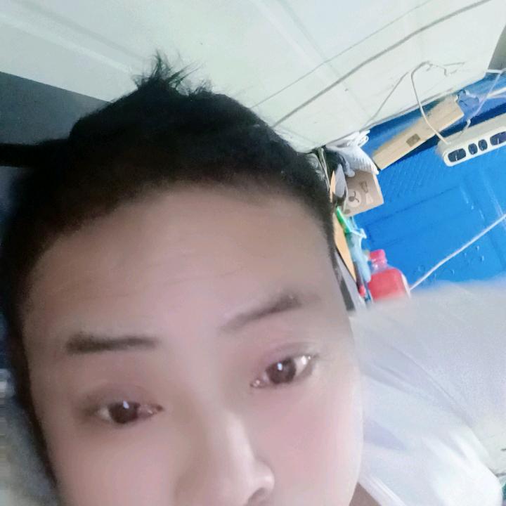 朱哥