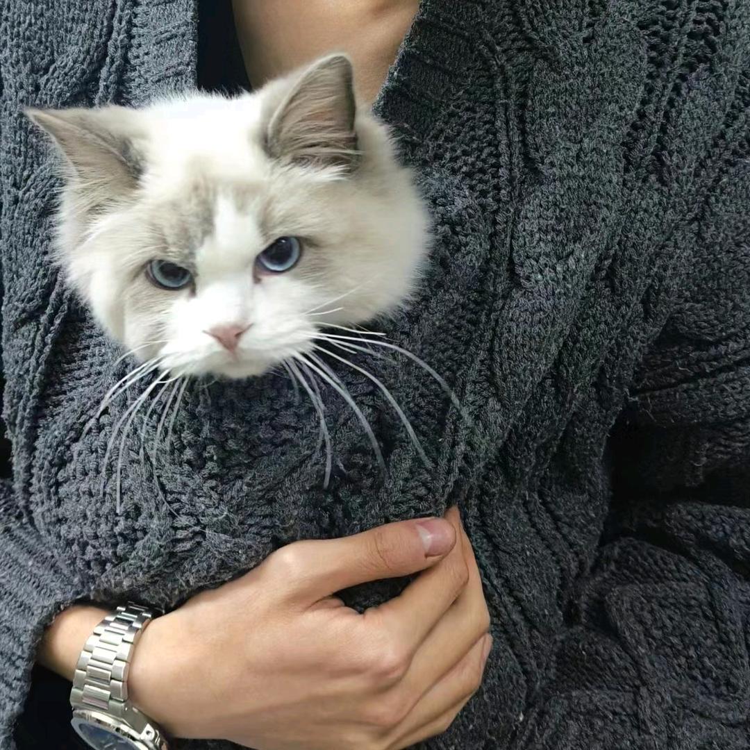 小寒寒睡不醒