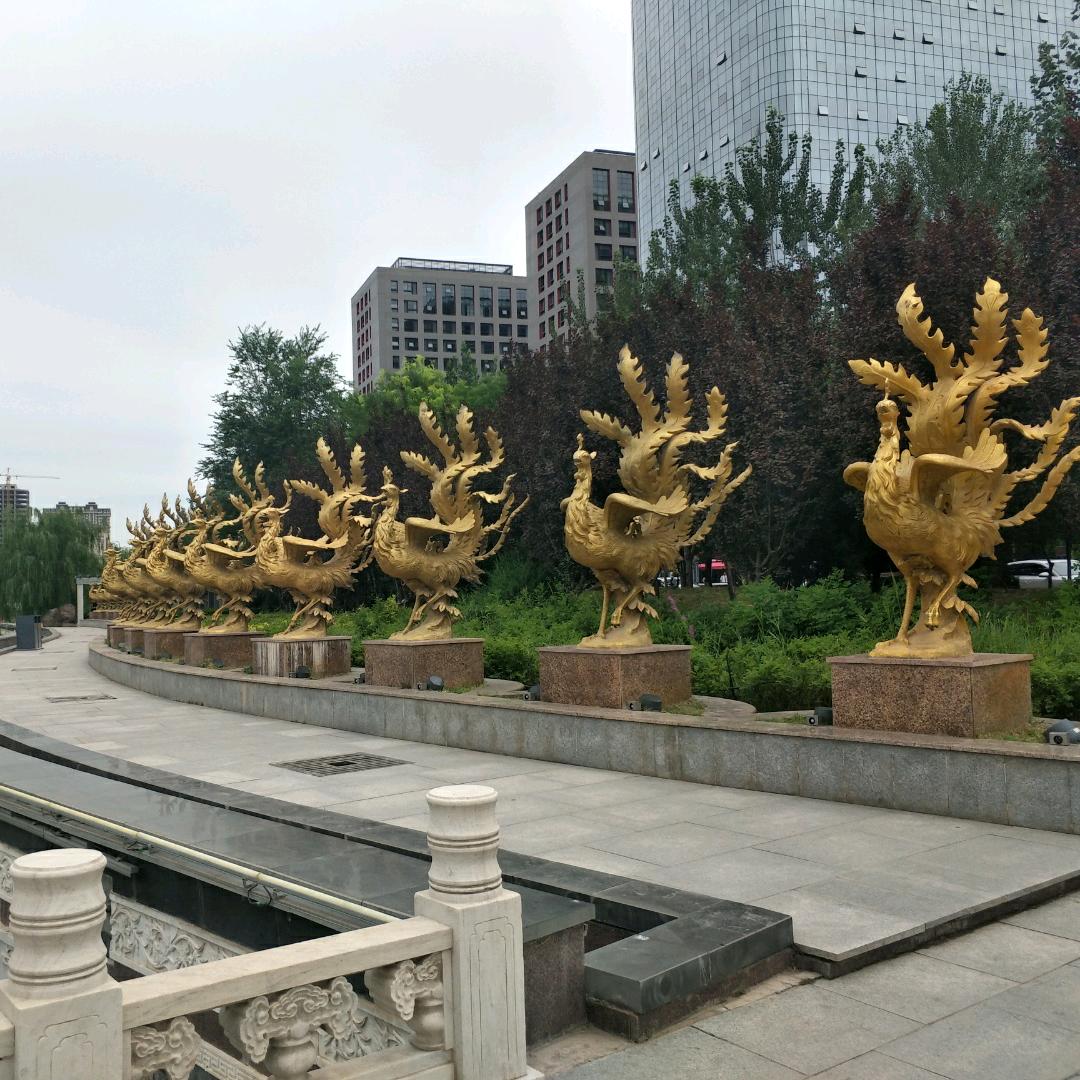 杨柳青青