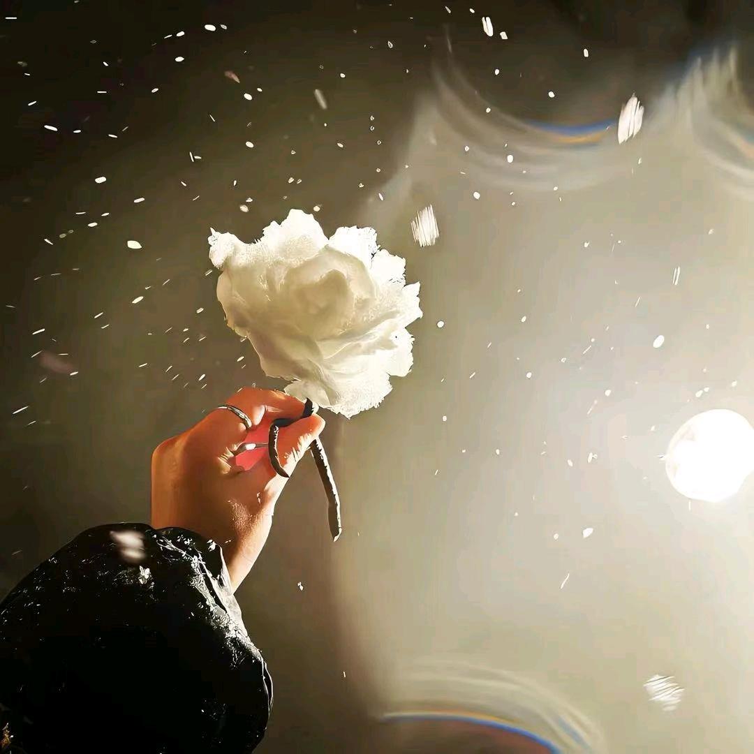 菲菲.书单