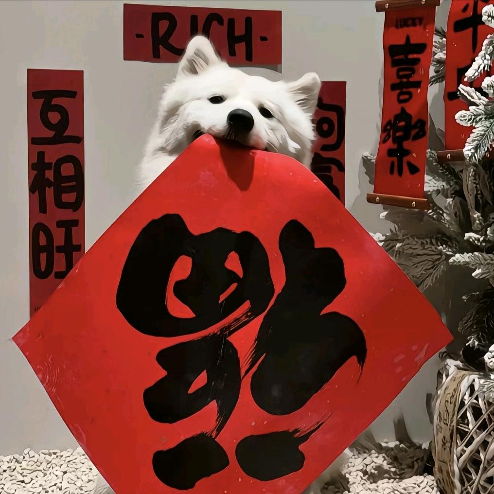 小苗在合肥（租房版）