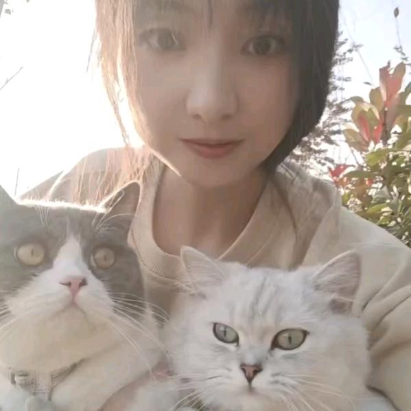 慧…