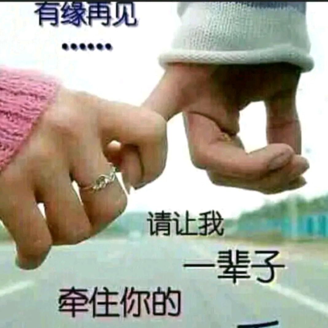 风哥