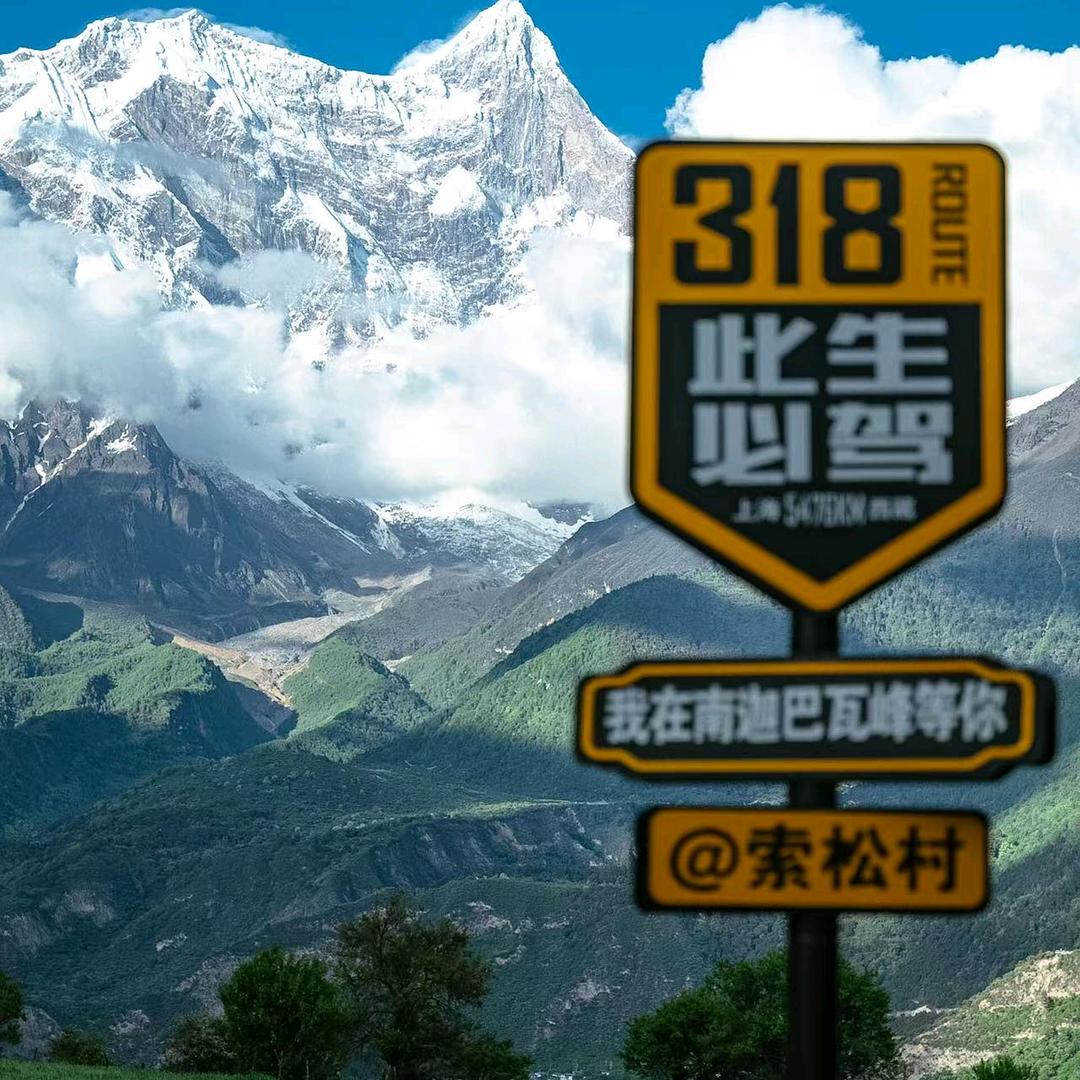 严选新能源二手车
