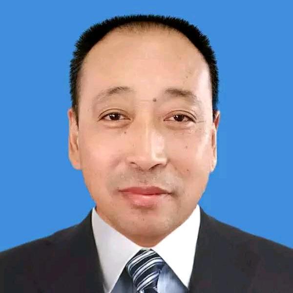 野猫（野猫爱心行动）