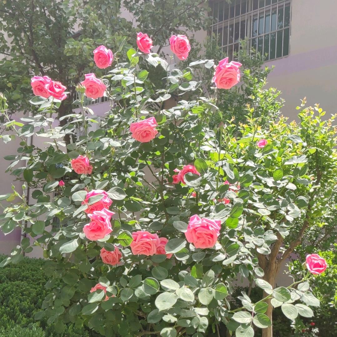 多爱自己一点