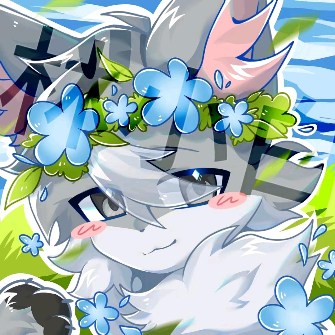 🐾林小白🐾被紫菜了
