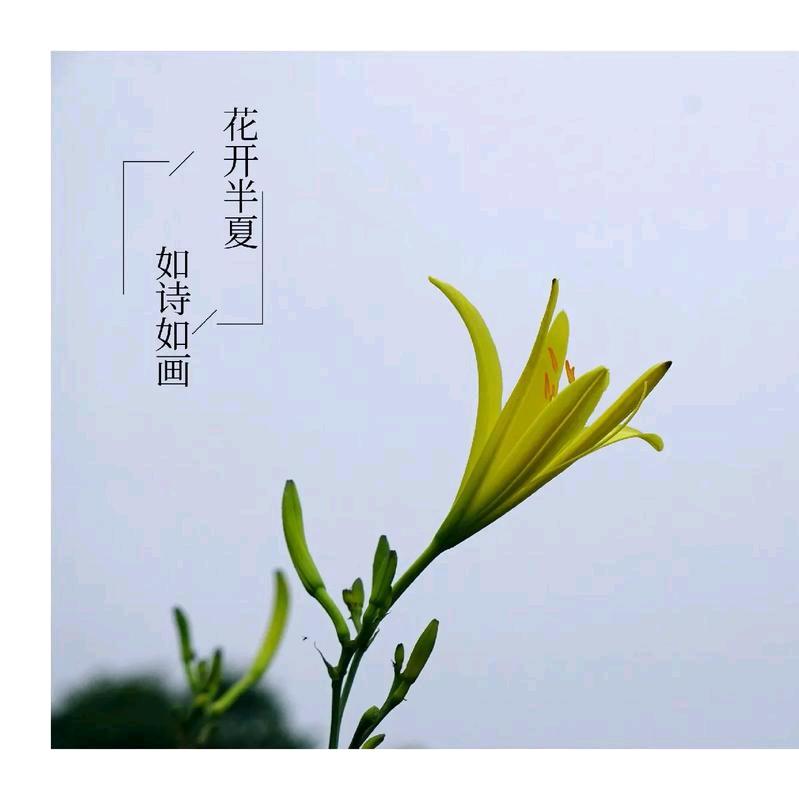 🍃四月🌸