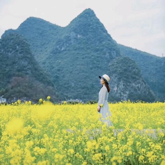 地理陈老师