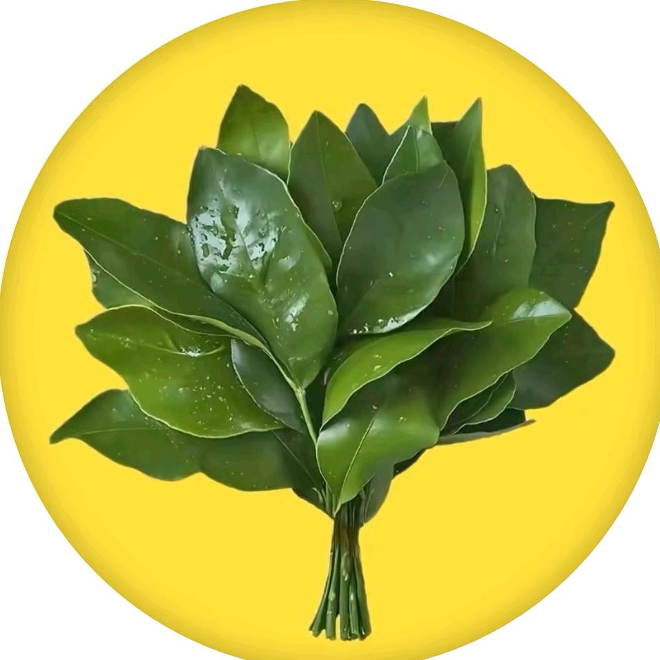 破茧