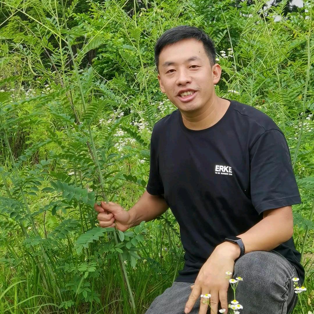 阿军说百草