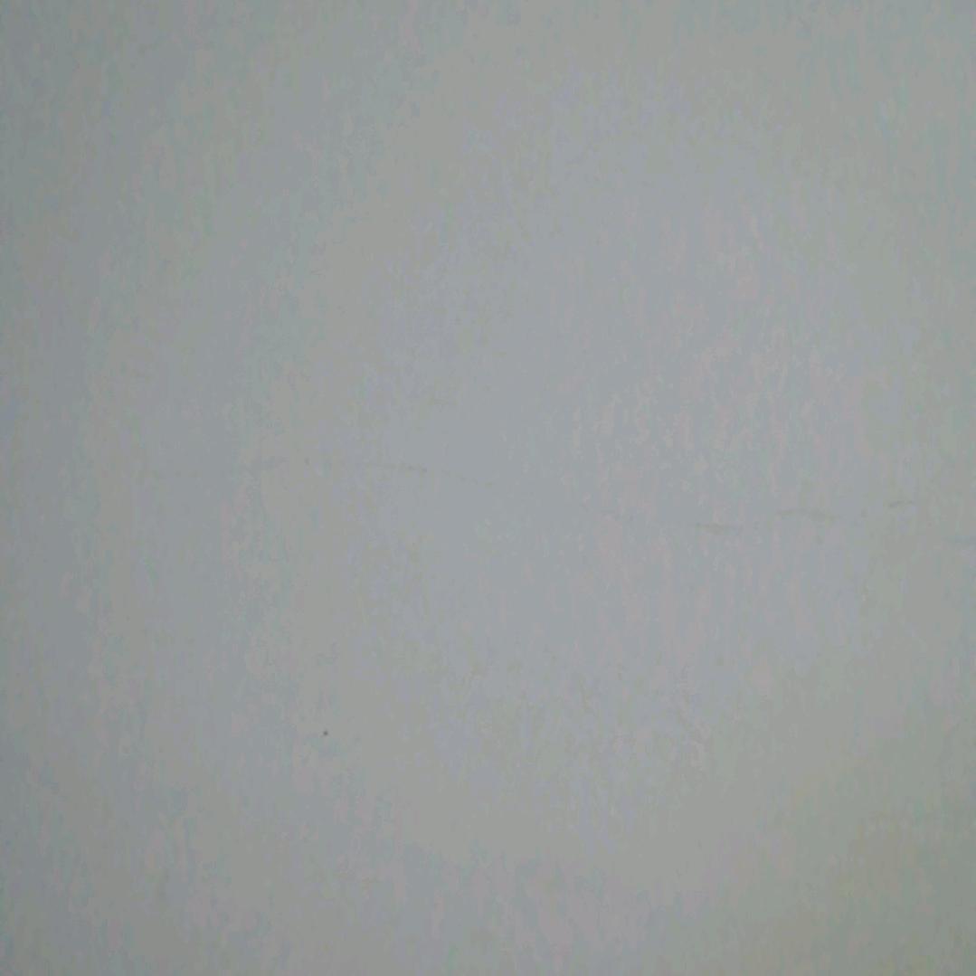 天天愛你
