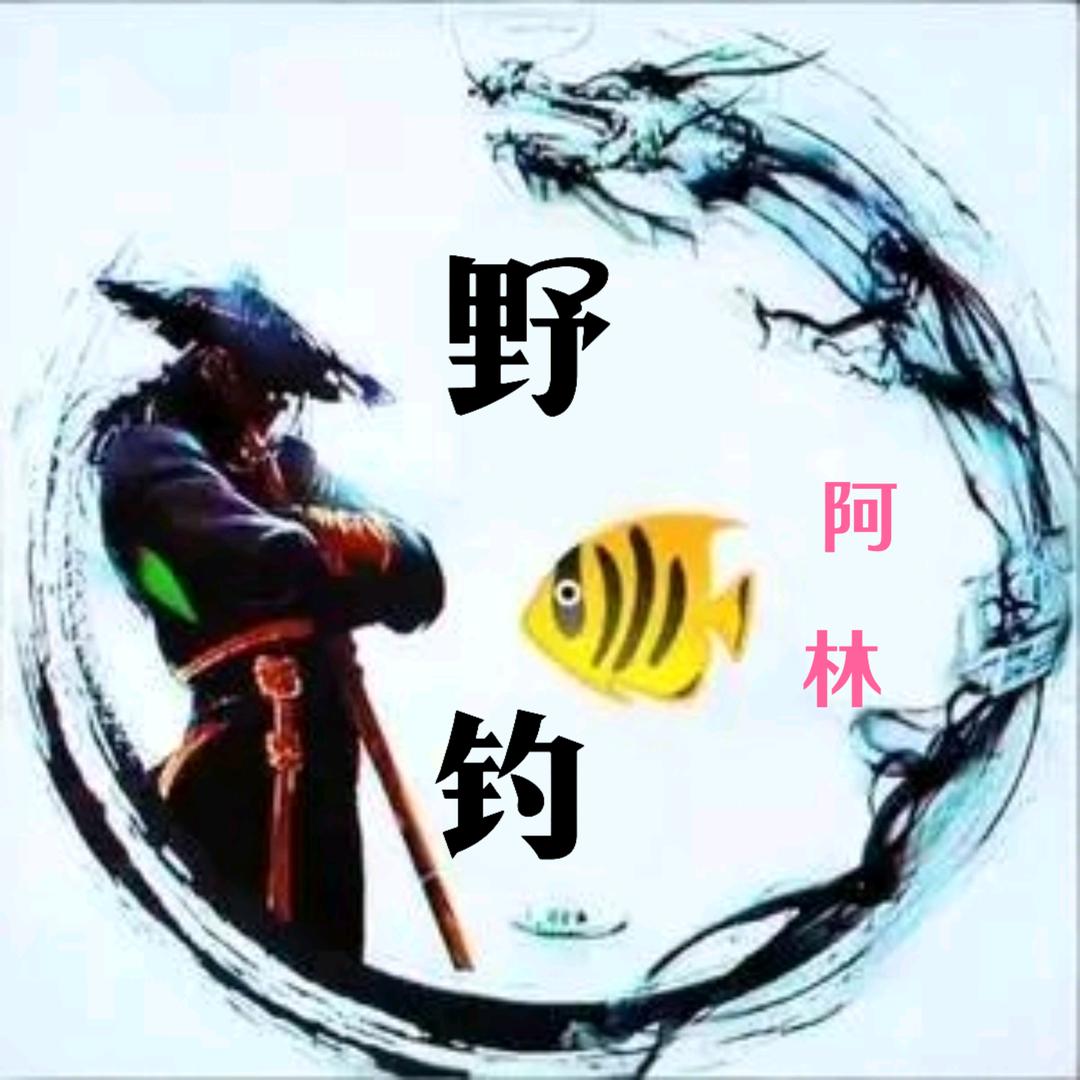 《野钓¥阿林》