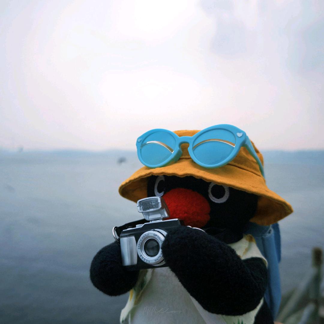 小宇爱摄影📷（三亚版）