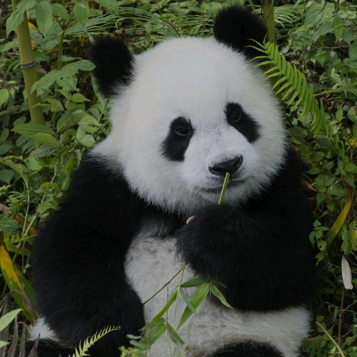 余生( ͡°❥ ͡°)有你