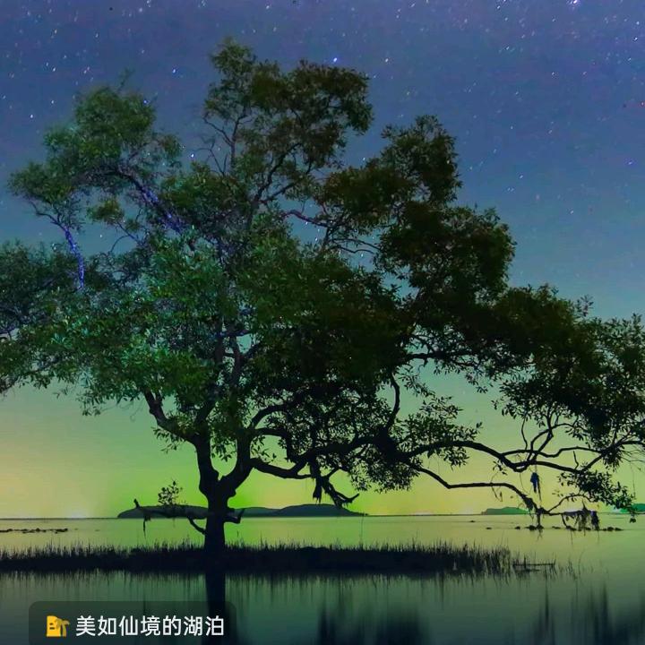 海王之单