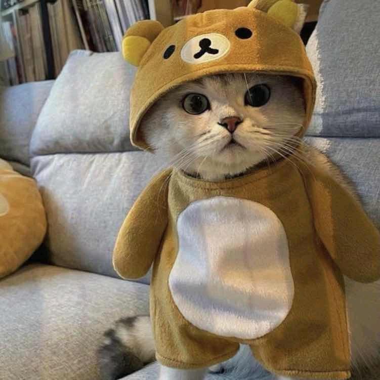 小费想赚钱