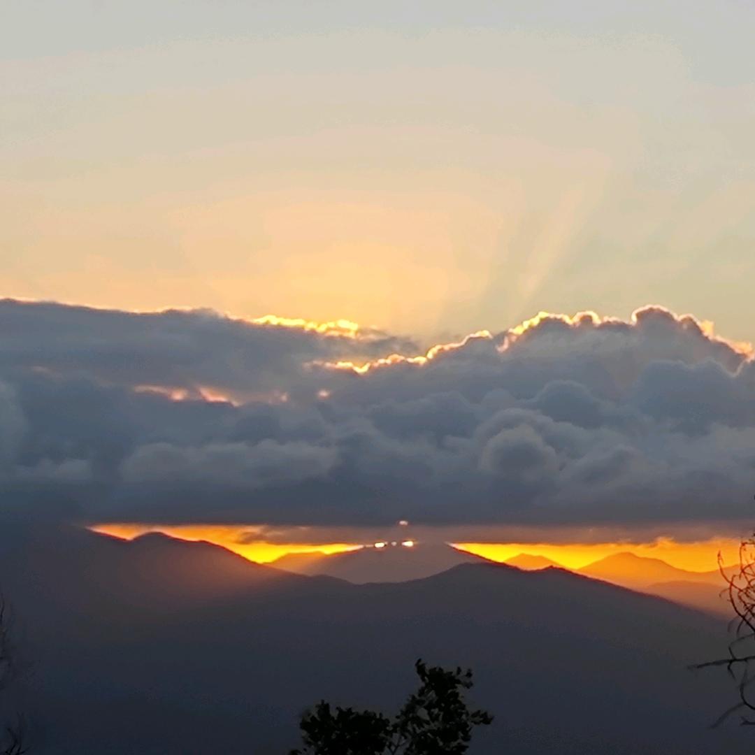 “择一业谋食养命，等一运扭转乾坤”