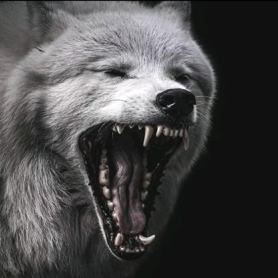 火神！！！！！