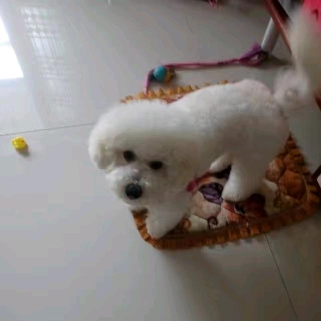独来独往