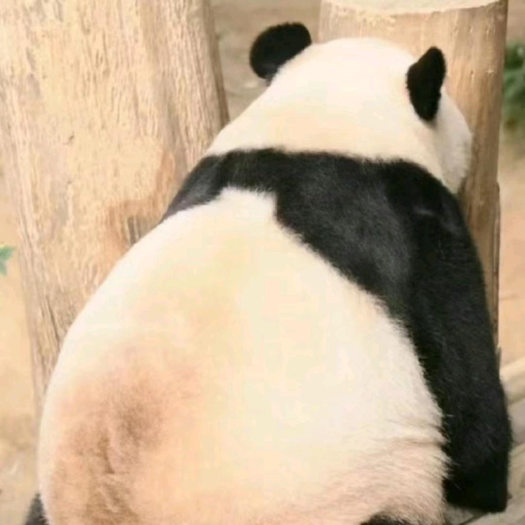 容容不易