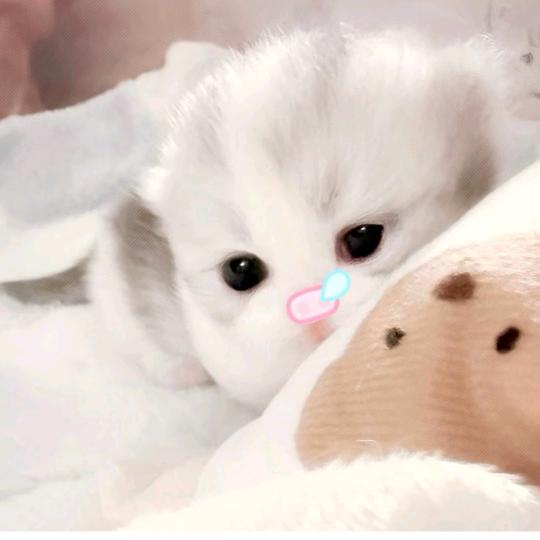 又见冬天