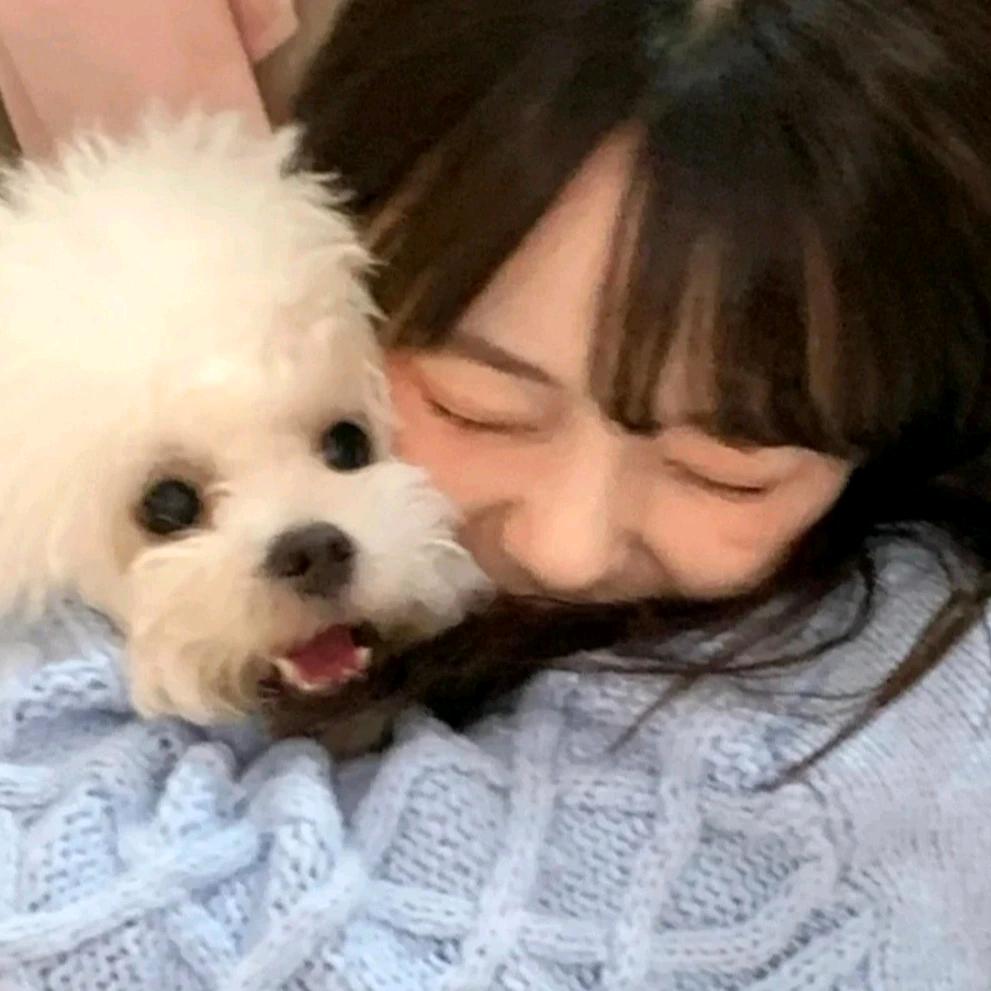 Q小y
