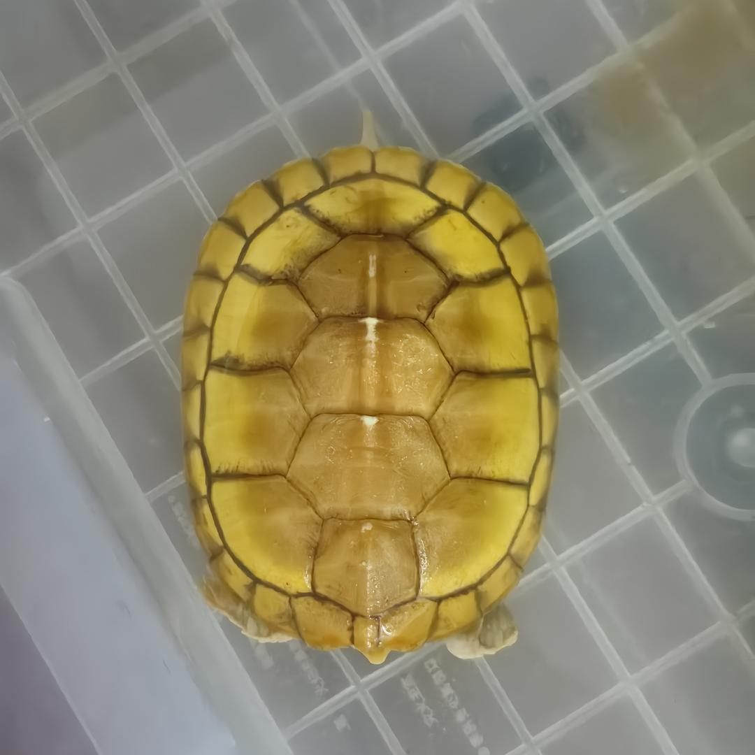 一切都是最好的安排