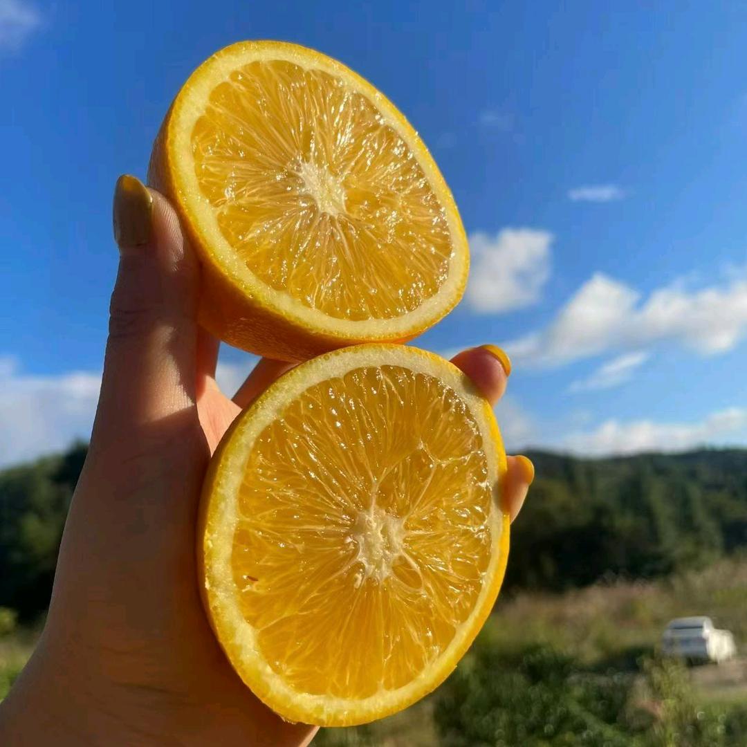 赣南脐橙小阿妹