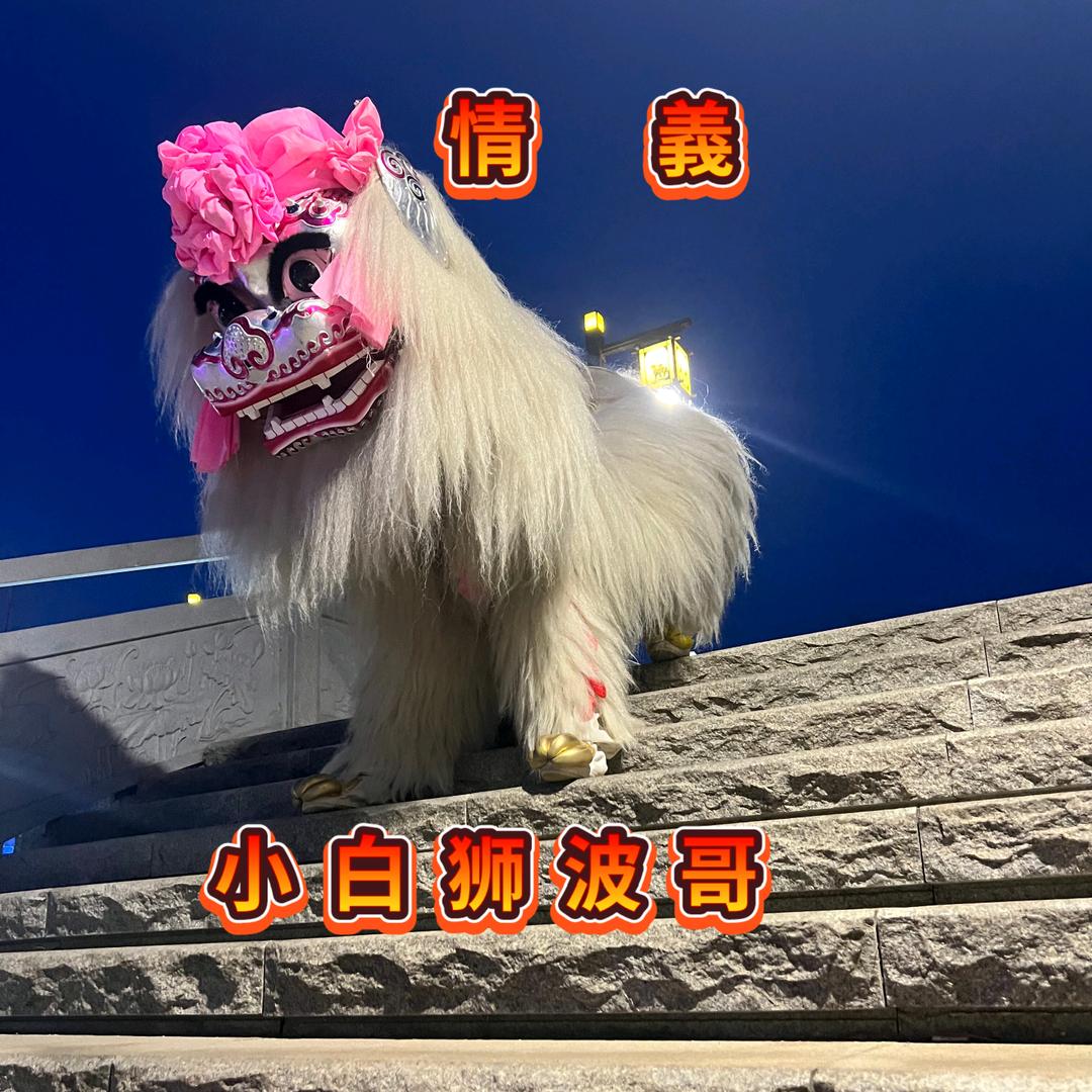 情義小白狮波哥《高端舞狮》全国接单