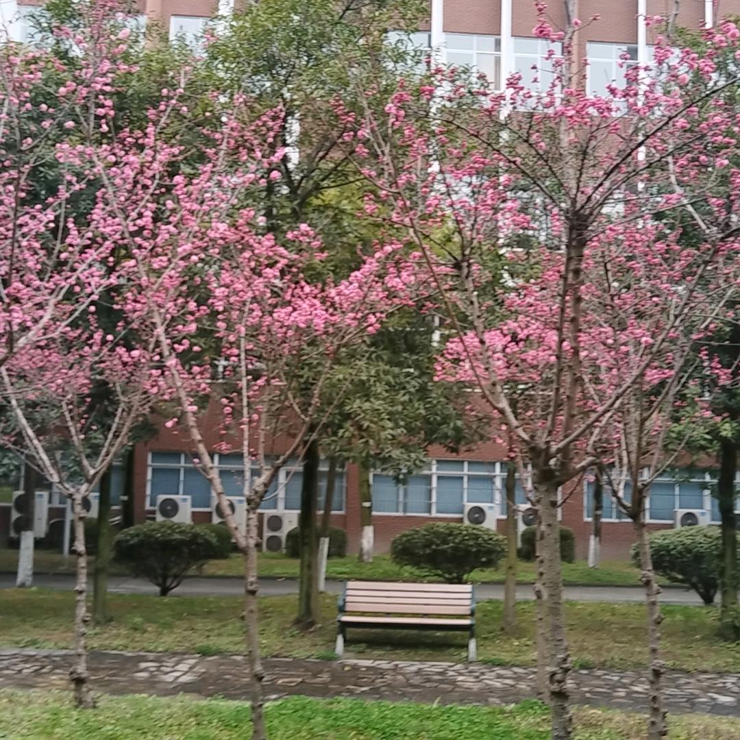 冉姐^O^