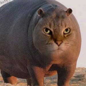 介中青.