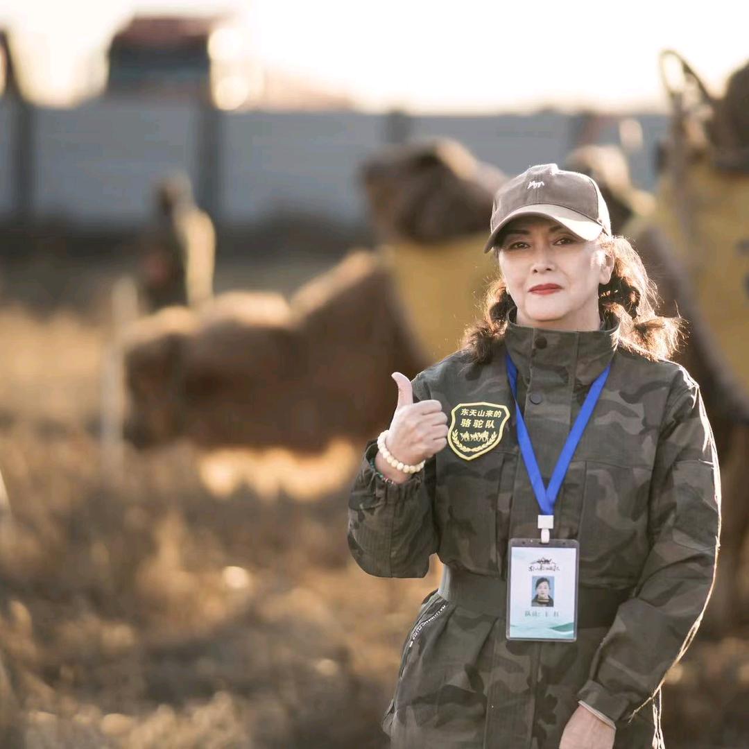 雪落🈶声（东天山来的骆驼队）