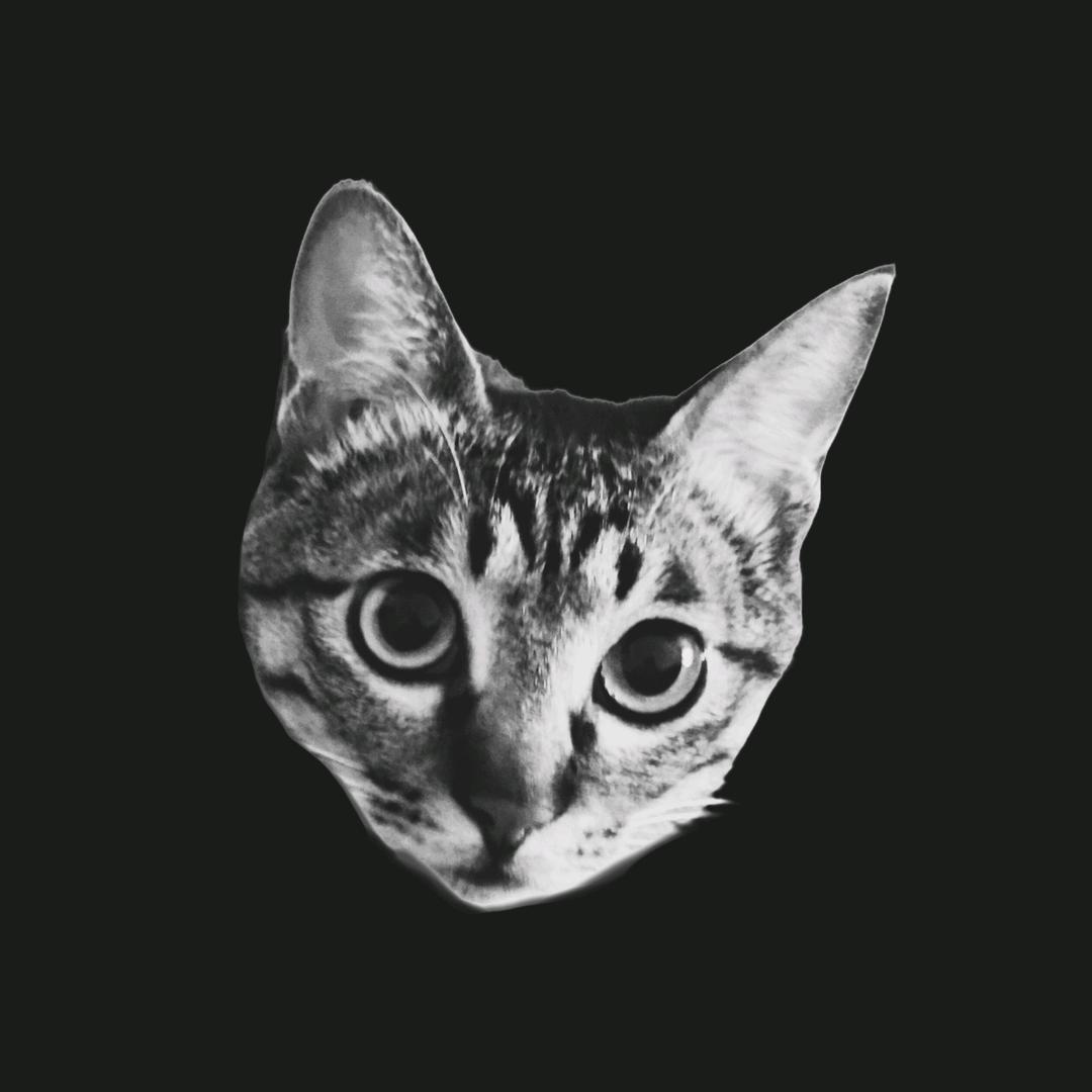 癫猫超人-AA版
