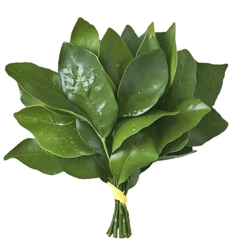 慕暖💕️~兮妍❤️