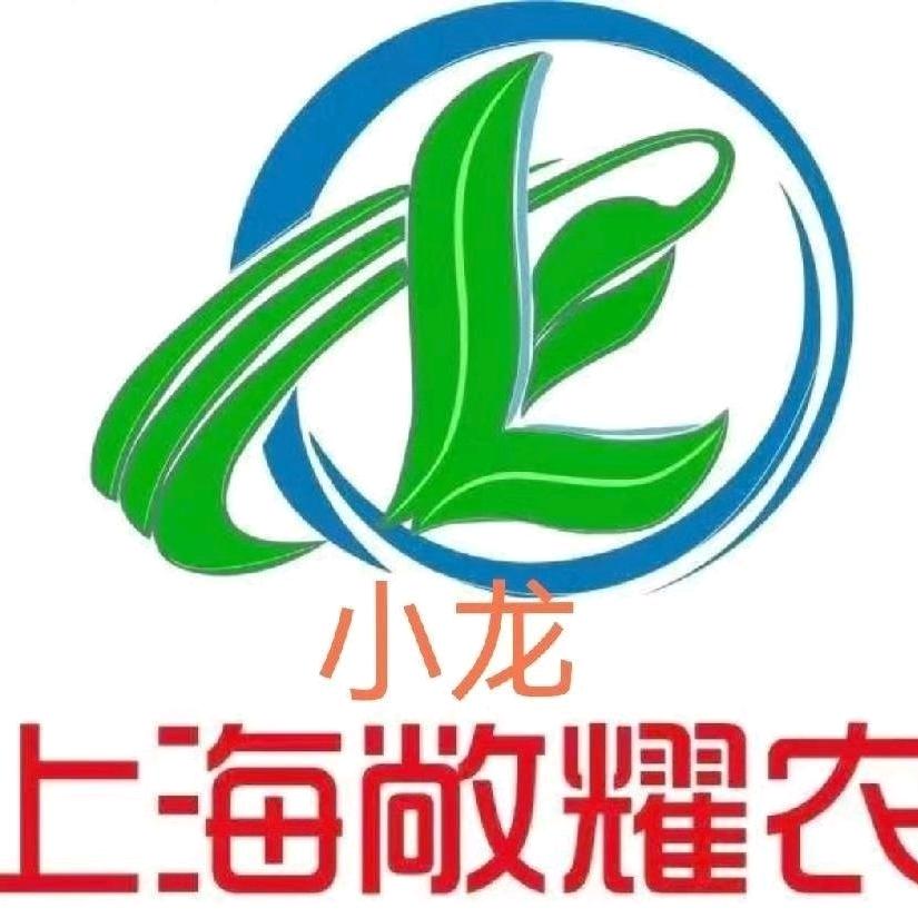 江桥龙哥（蔬菜贩子）