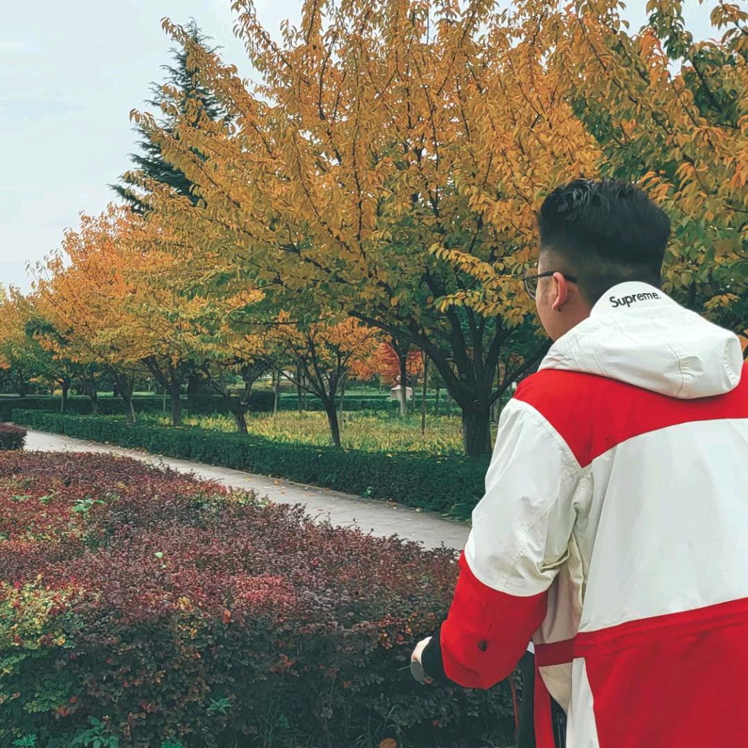 热心市民李先生